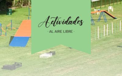 [EL ENTORNO Y LAS ACTIVIDADES] ¿Cómo elegir un Centro de Educación Canina adecuado para mi perro?