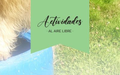 [LENGUAJE CANINO] El mundo desde las patas de tu perro: el lenguaje canino