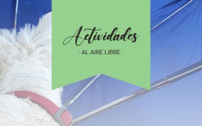 [PERSPECTIVA] ¿Cómo preparo a mi perro para el frío? Cambio de estación otoño invierno