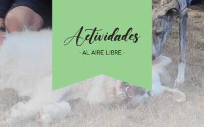 [Observación] Conocerse, respetarse y mejorar: nadie es perfecto, ni los perros ni los humanos